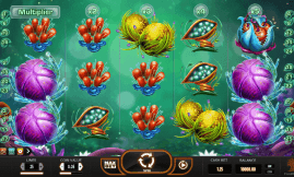 Fruitoids Slot screenshot