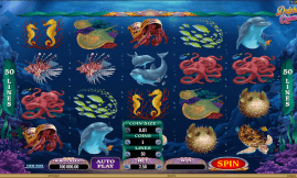Dolphin Quest Slot screenshot