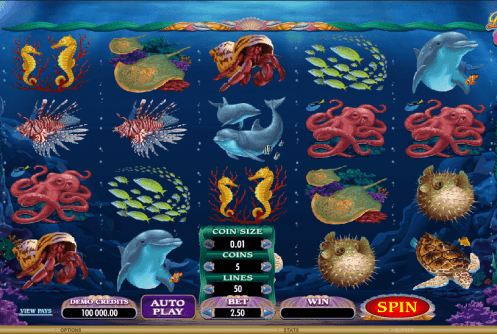 Dolphin Quest Slot screenshot
